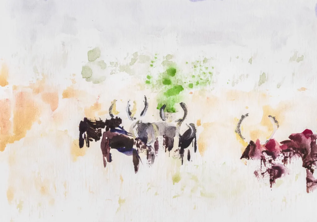 Ankole Cows, Stellenbosch, South Africa | Watercolour on paper | 16 December 2024