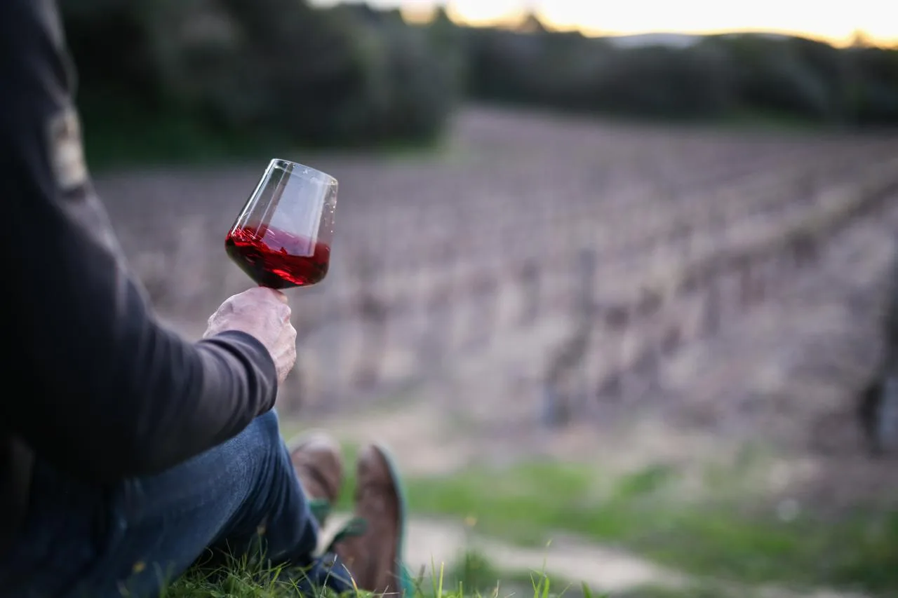 Exclusive wine tasting in London with South African winemaker Albert Ahrens at House of Sisters Grimm