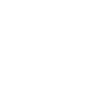 the-princes-trust-vector-logo (1)